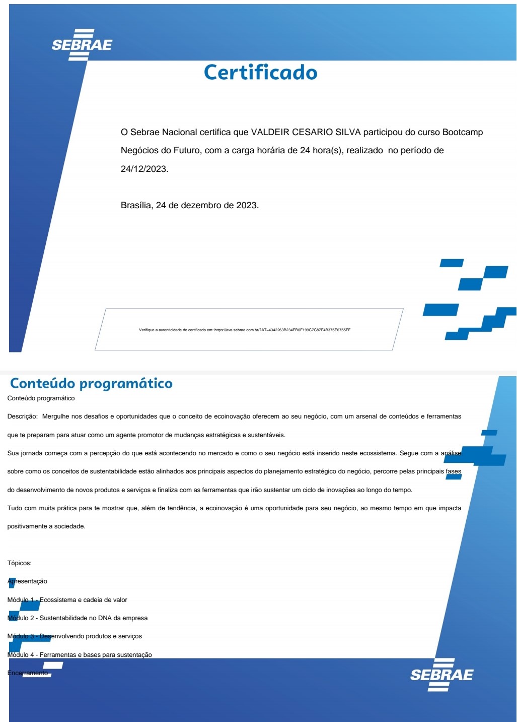 Certificado do Bootcamp Negócio do Futuro